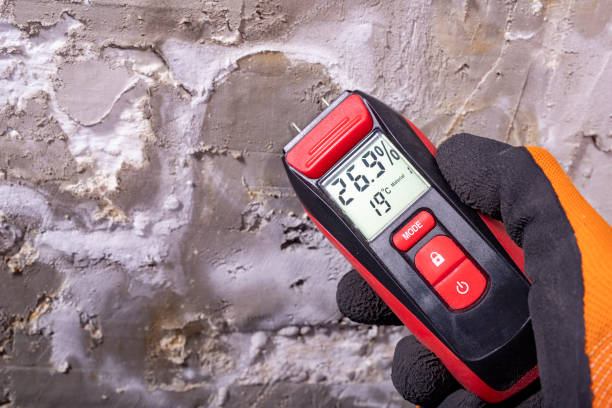 Best Attic Mold Remediation in Houston, MO