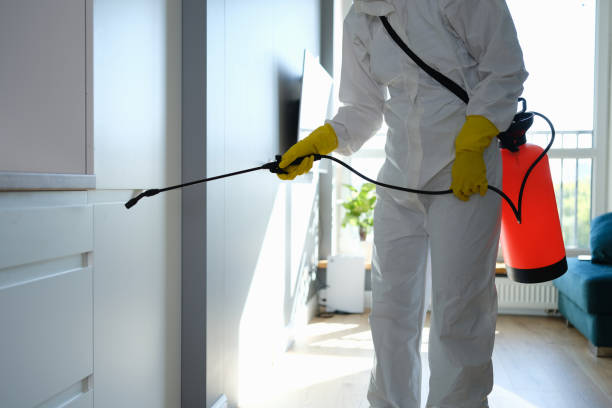 Best Commercial Mold Remediation in Houston, MO