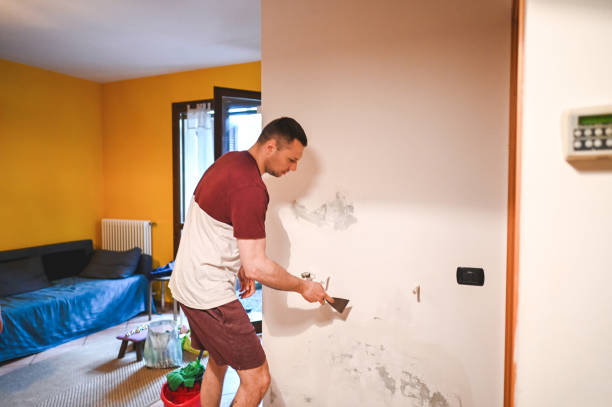 Best Basement Mold Remediation in Houston, MO